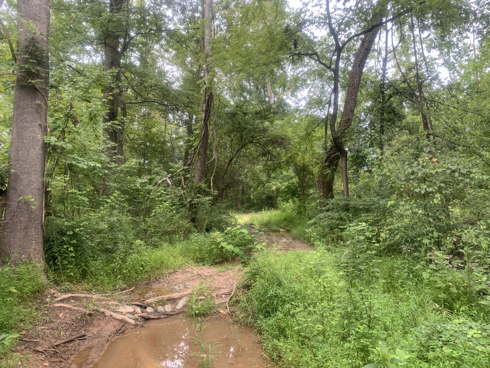 Parkers Creek