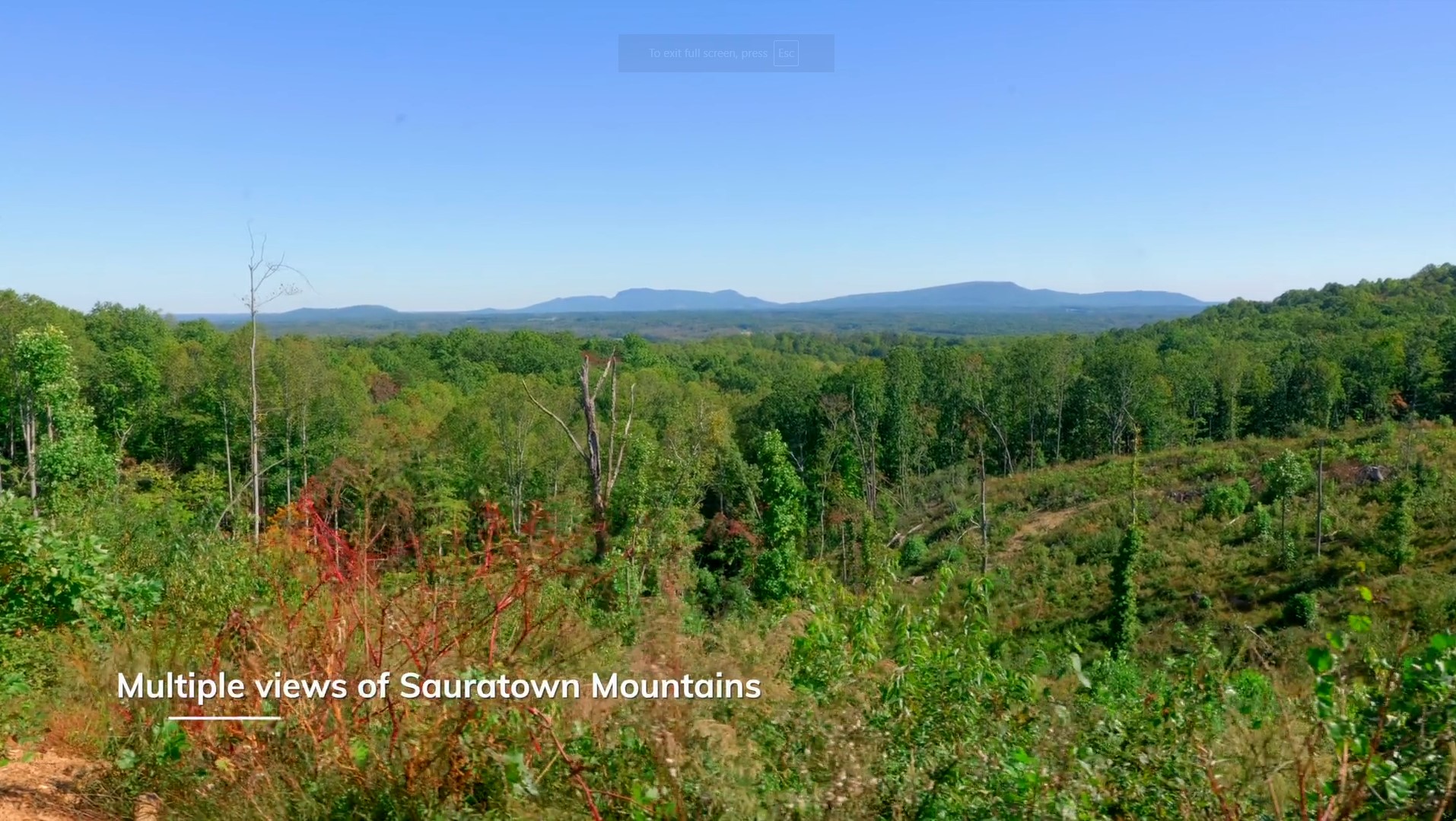 Chestnut Ridge | theshipleyco.com